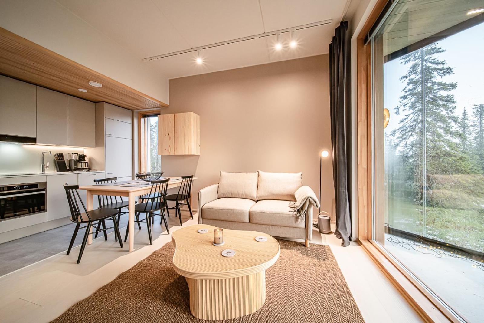 Apartment Beyond Gielas B5 By Aavalevi Holidays, Ski-in Ski-out, Mountain View *